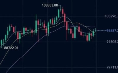 when will crypto go back up